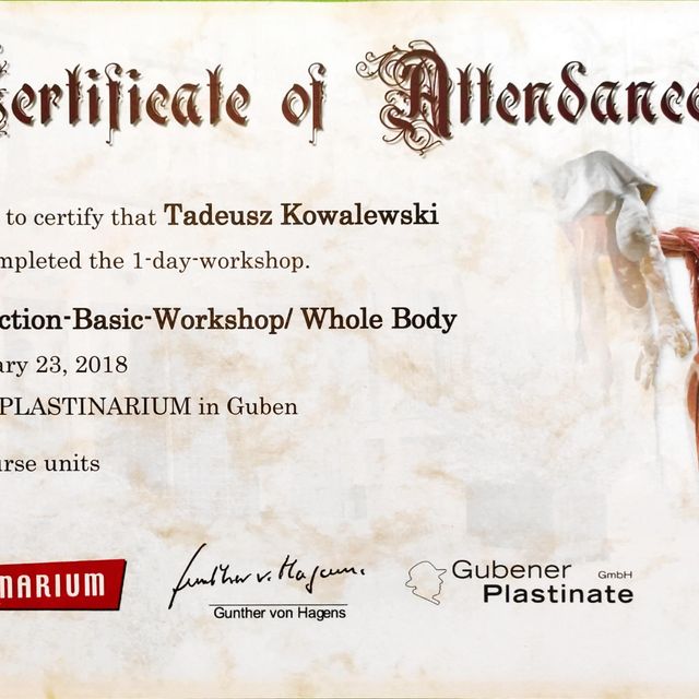Powiększ obraz: certificate 8