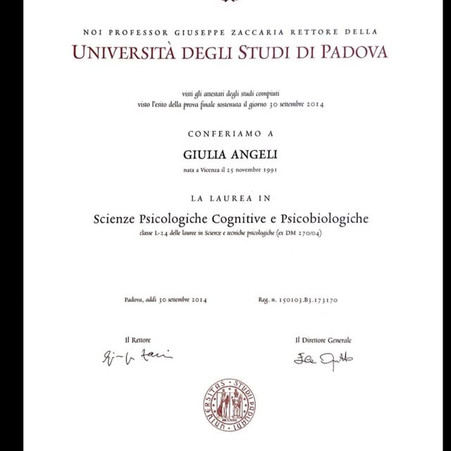 Ingrandire l'immagine: certificate 1