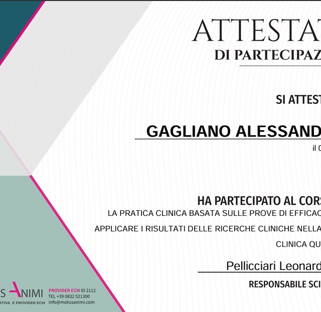 Ingrandire l'immagine: certificate 4