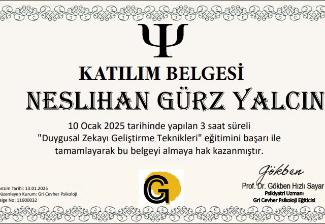 Resmi büyüt: certificate 11