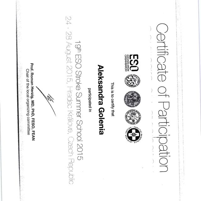 Powiększ obraz: certificate 6