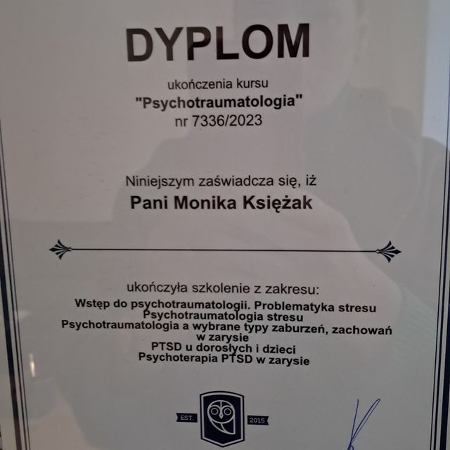 Powiększ obraz: certificate 2