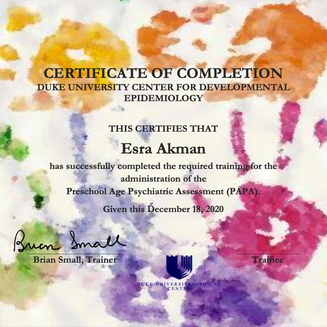 Resmi büyüt: certificate 6