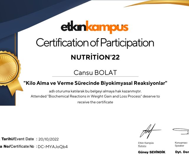 Resmi büyüt: certificate 9