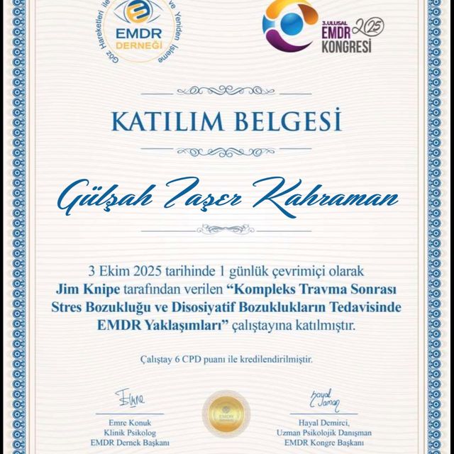 Resmi büyüt: certificate 8