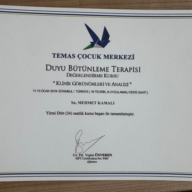 Resmi büyüt: certificate 8