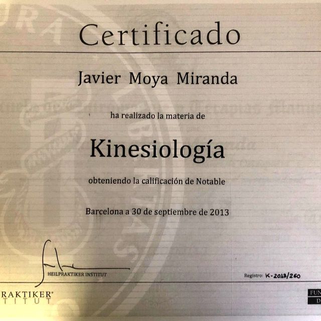 Acercar imagen: certificate 3