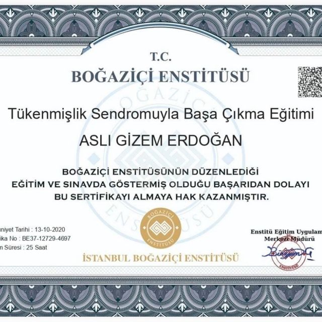 Resmi büyüt: certificate 1