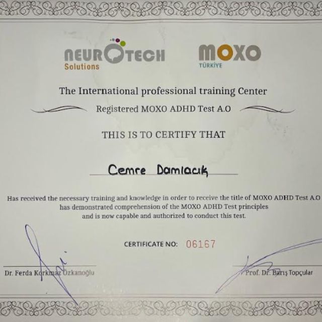 Resmi büyüt: certificate 8