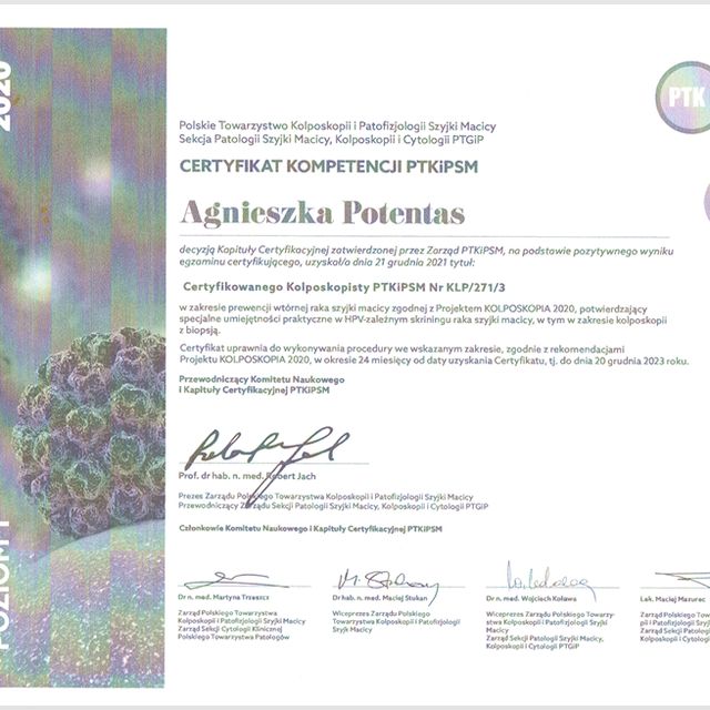 Powiększ obraz: certificate 6