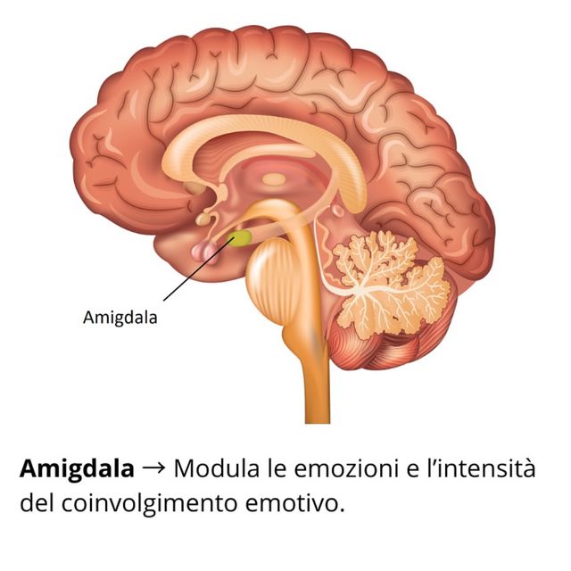 Ingrandire l'immagine: certificate 347