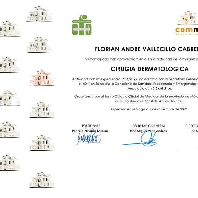 Acercar imagen: certificate 25
