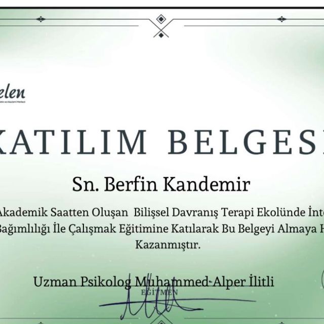 Resmi büyüt: certificate 16