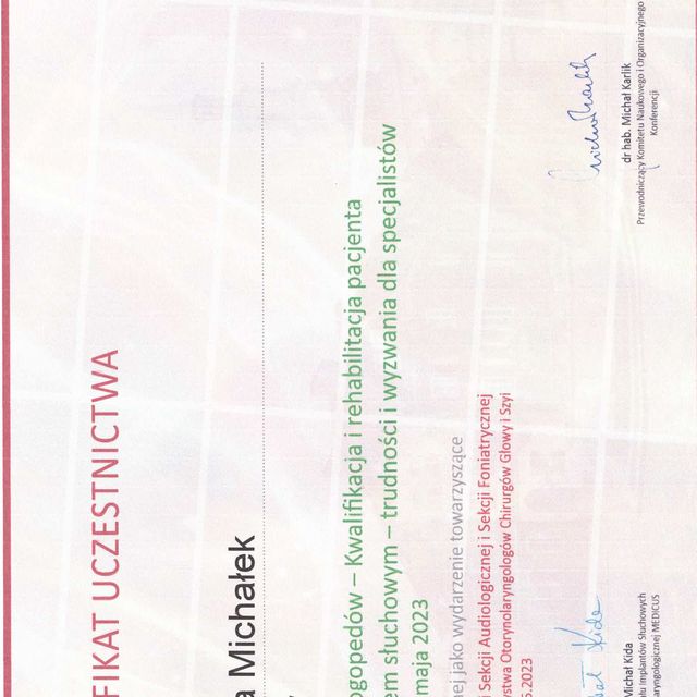 Powiększ obraz: certificate 1