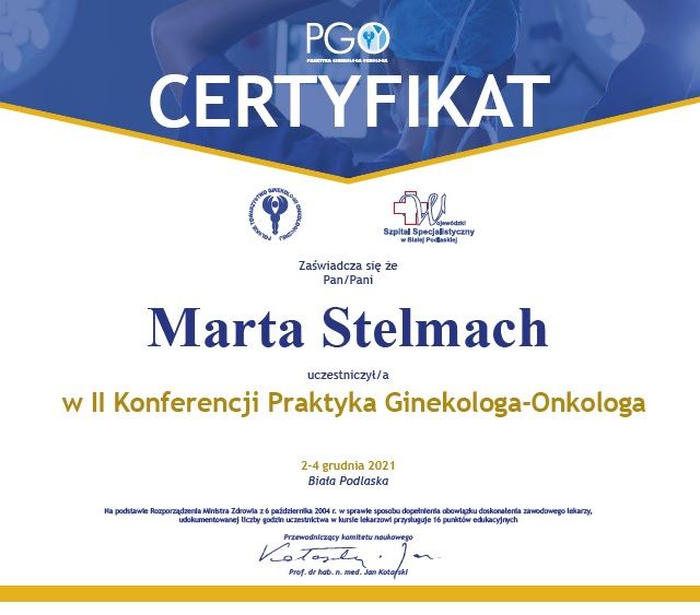 Powiększ obraz: certificate 4