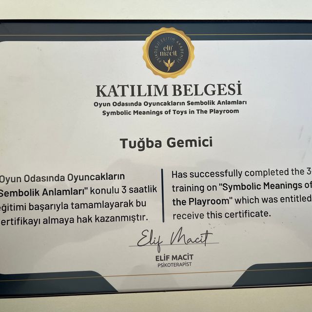 Resmi büyüt: certificate 9