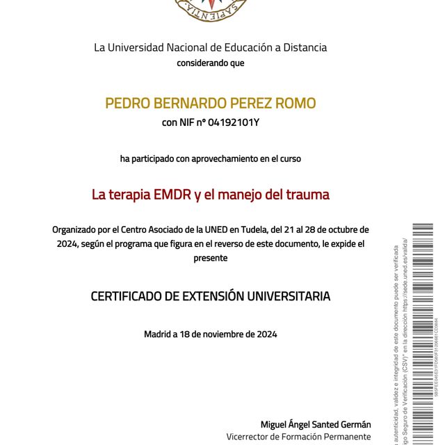 Acercar imagen: certificate 31
