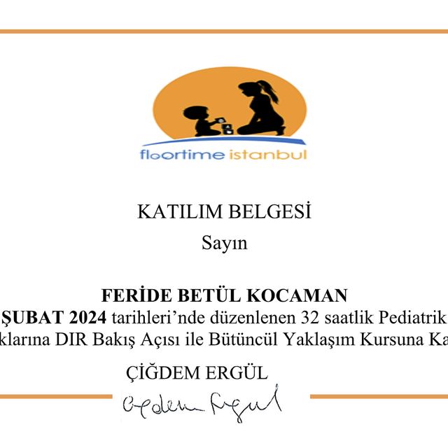 Resmi büyüt: certificate 3