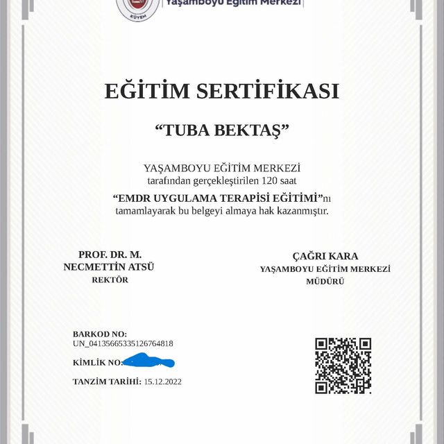 Resmi büyüt: certificate 10