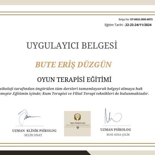 Resmi büyüt: certificate 2