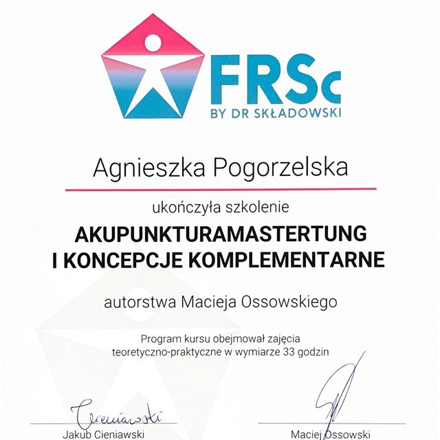 Powiększ obraz: certificate 2
