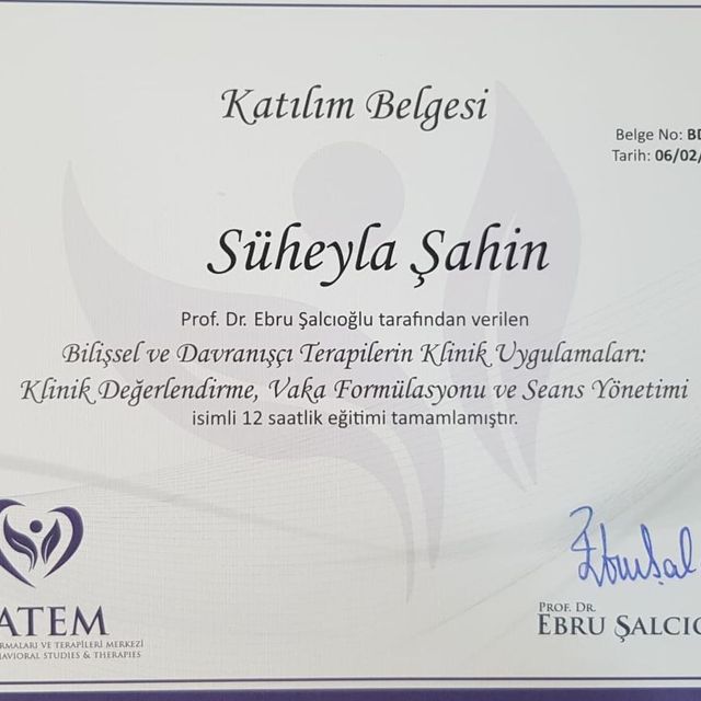 Resmi büyüt: certificate 4
