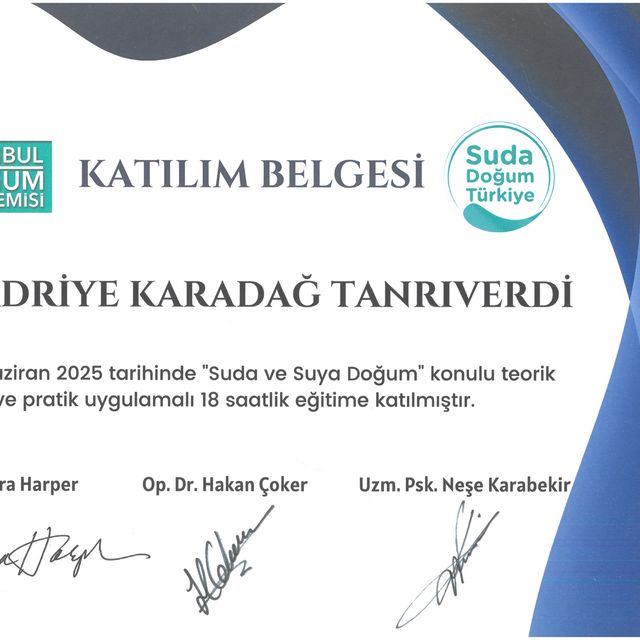 Resmi büyüt: certificate 18