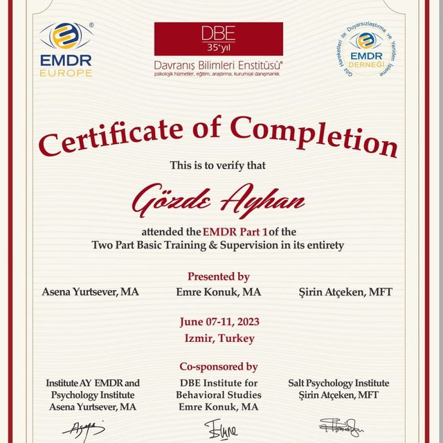 Resmi büyüt: certificate 2