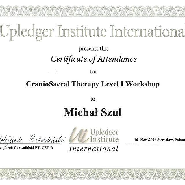 Powiększ obraz: certificate 1