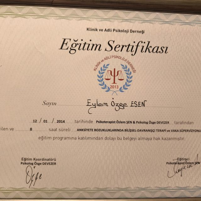 Resmi büyüt: certificate 9