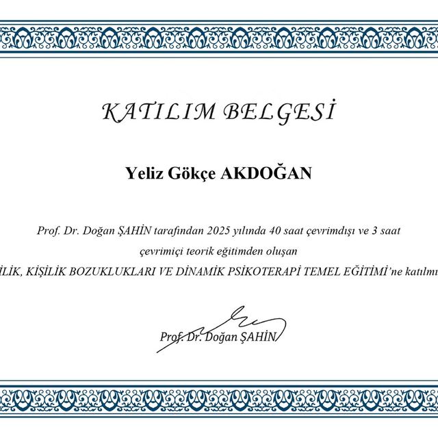Resmi büyüt: certificate 1