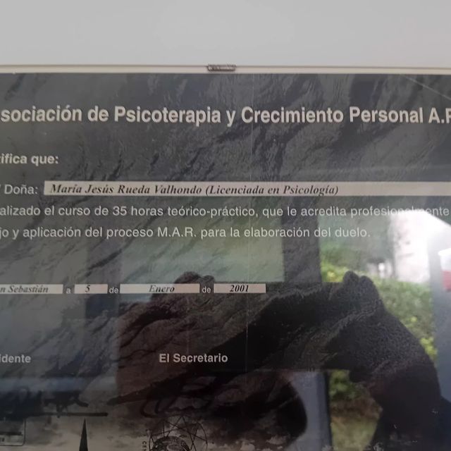 Acercar imagen: certificate 5