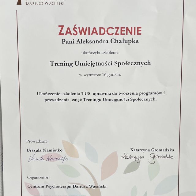 Powiększ obraz: certificate 4