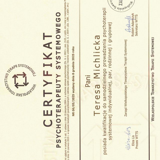 Powiększ obraz: certificate 1