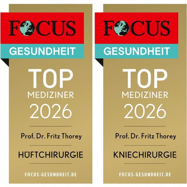 Bild vergrößern: certificate 1