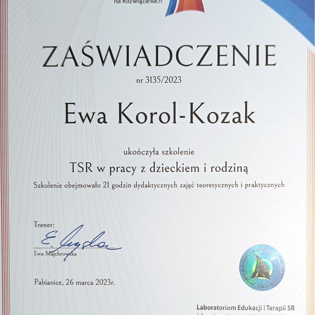 Powiększ obraz: certificate 2