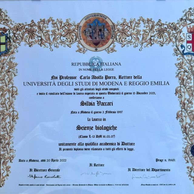 Ingrandire l'immagine: certificate 2