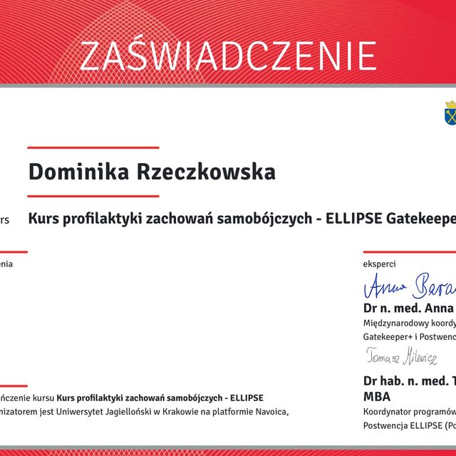 Powiększ obraz: certificate 3
