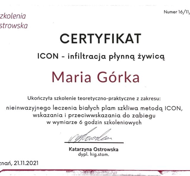 Powiększ obraz: certificate 17