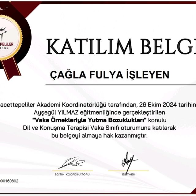 Resmi büyüt: certificate 9