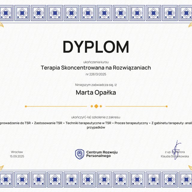Powiększ obraz: certificate 6