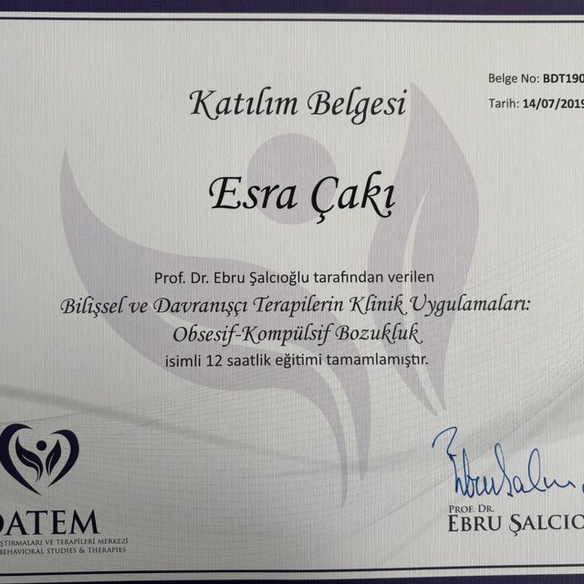 Resmi büyüt: certificate 3