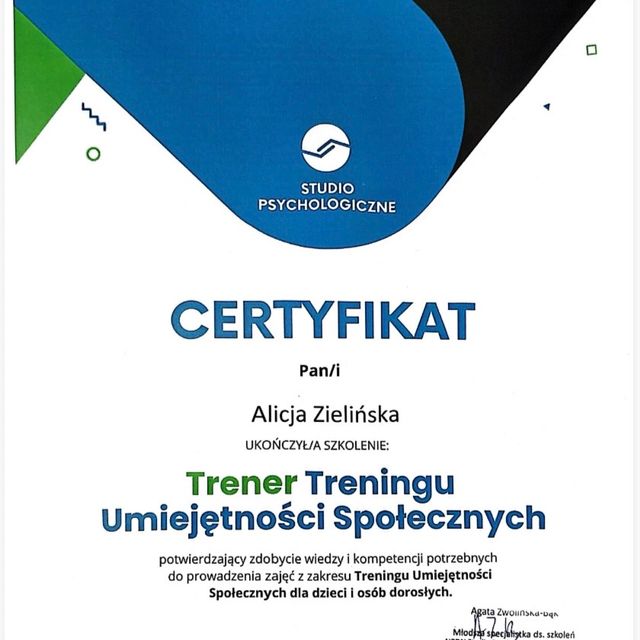 Powiększ obraz: certificate 3