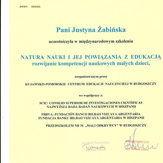 Powiększ obraz: certificate 2