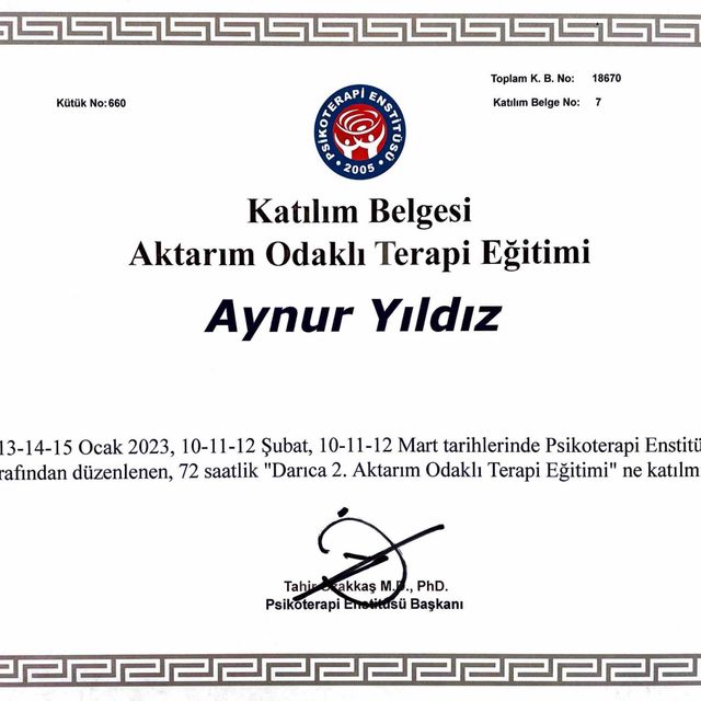 Resmi büyüt: certificate 25