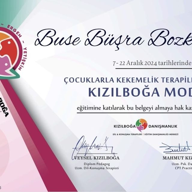 Resmi büyüt: certificate 3