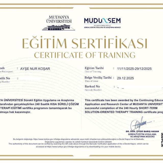 Resmi büyüt: certificate 3