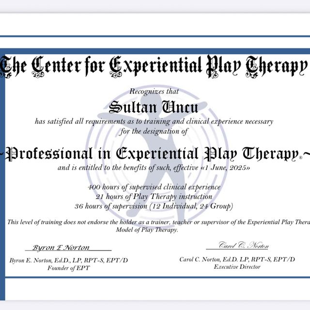 Resmi büyüt: certificate 1