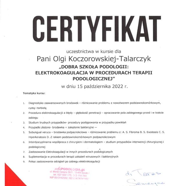 Powiększ obraz: certificate 1