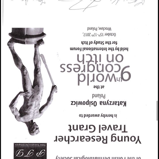 Powiększ obraz: certificate 65